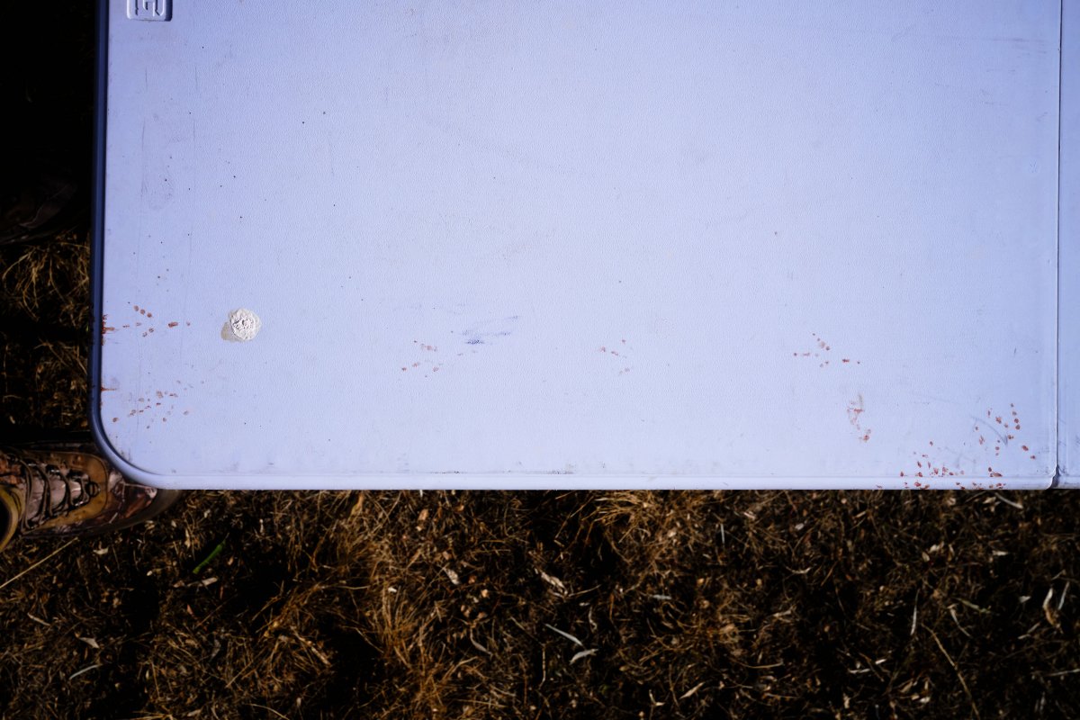 Bird footprints on white table