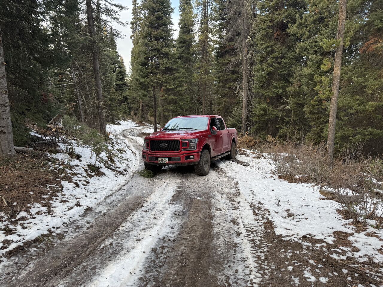 The hill that the F150 found insurmountable - I know; it’s sad