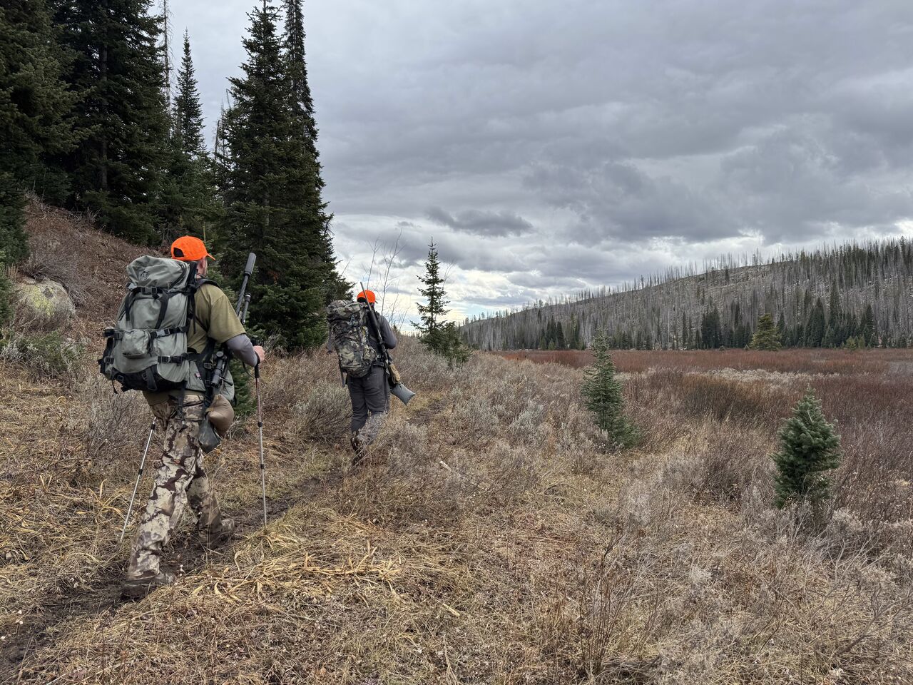 Following trail, shortly before rounding a corner and spotting elk