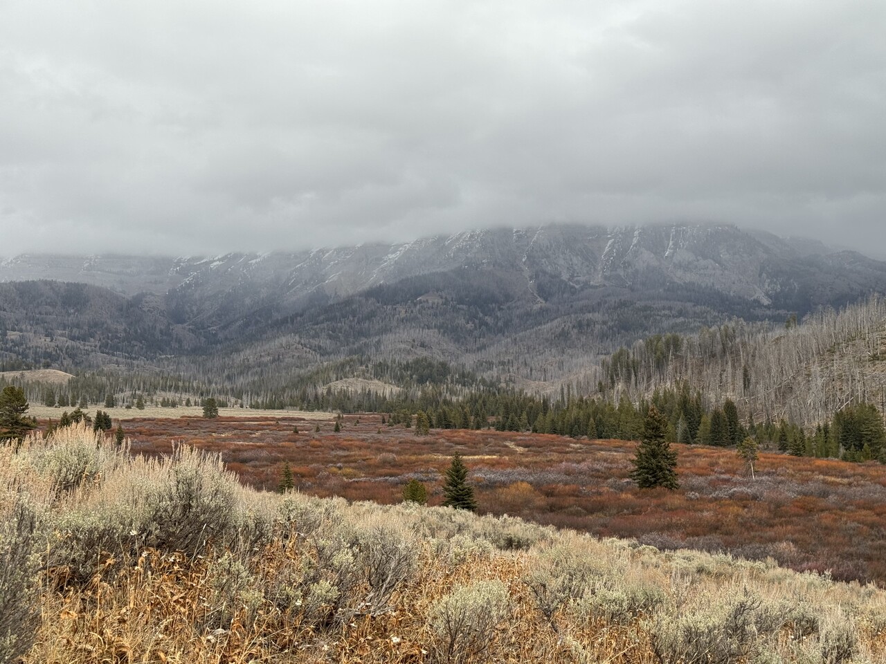 The swampy valley bottom