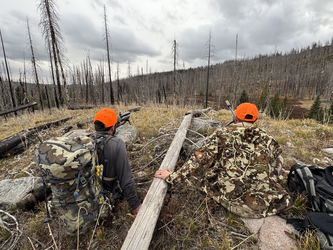 Debating a plan after failing to relocate the elk