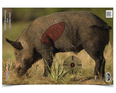Dirty Bird PreGame Animal Targets Boar 16.5x24 Inch 3 Per Package