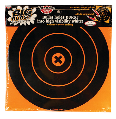 Big Burst Revealing Targets 12-Inch 3 Per Package