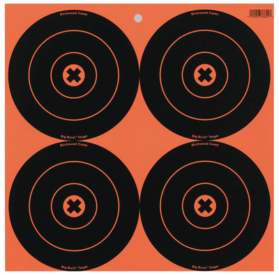 Big Burst Revealing Targets 6-Inch 12 Per Package