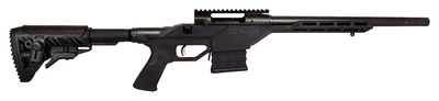 Model 10 Stealth .223 Remington 16.5 Inch Threaded Barrel Black Finish Scope Rail Monolithic Chassis Fab Defense GL-Shock Adjustable Stock 10 Round
