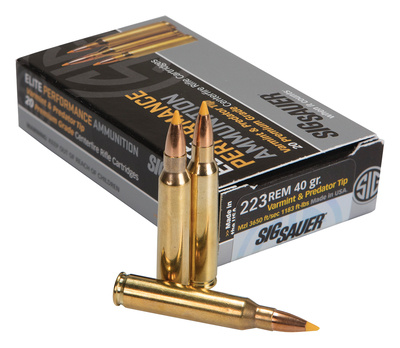 Elite Hunting .223 Remington 40 Grain HT