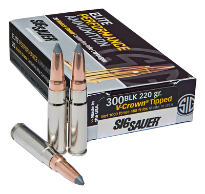 Elite Hunting .300 Blackout 220 Grain HT