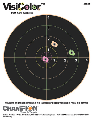 VisiColor 8 Inch Bullseye Target 10 Per Pack