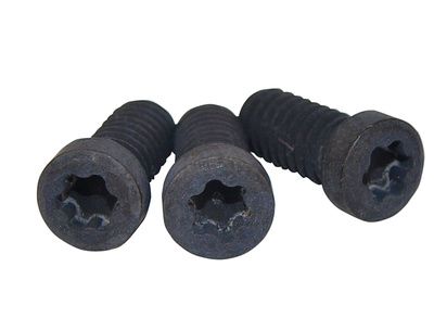 Torx Screw Kit