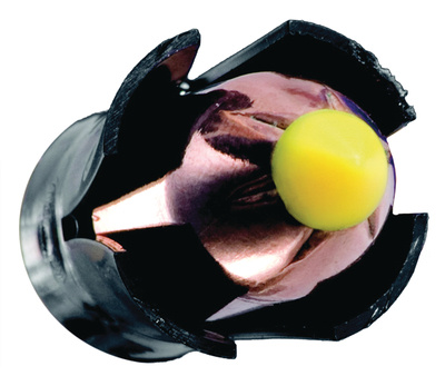 Shock Wave Controlled Expansion Bullet In Magnum Express Sabot .50 Caliber 250 Grain