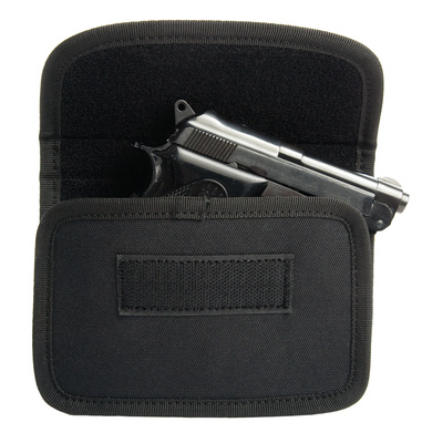 PDA Style Holster Clips to Belt Black