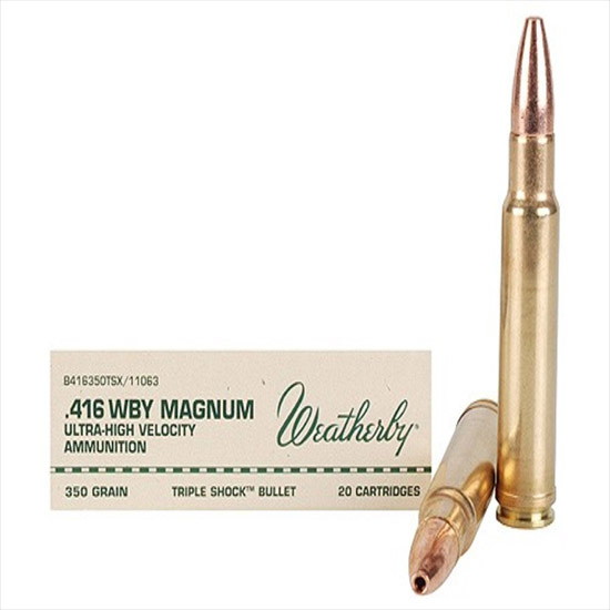 AMMO 416WBY 350GR BARNES TSX
