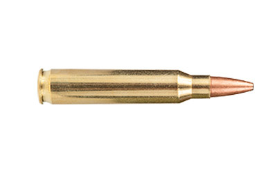 Ammunition, 223 Rem, 62 Grain, Bonded Pointed Soft Point AC223-4N