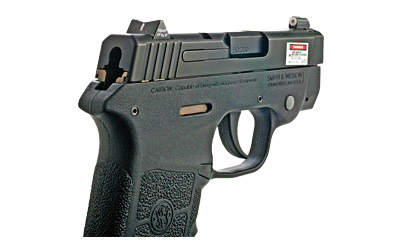 Big Dot Tritium, White Stripe Rear, Express Sight Set, Fits S&W Bodyguard .380, Green with White Outline SW-0022P-3