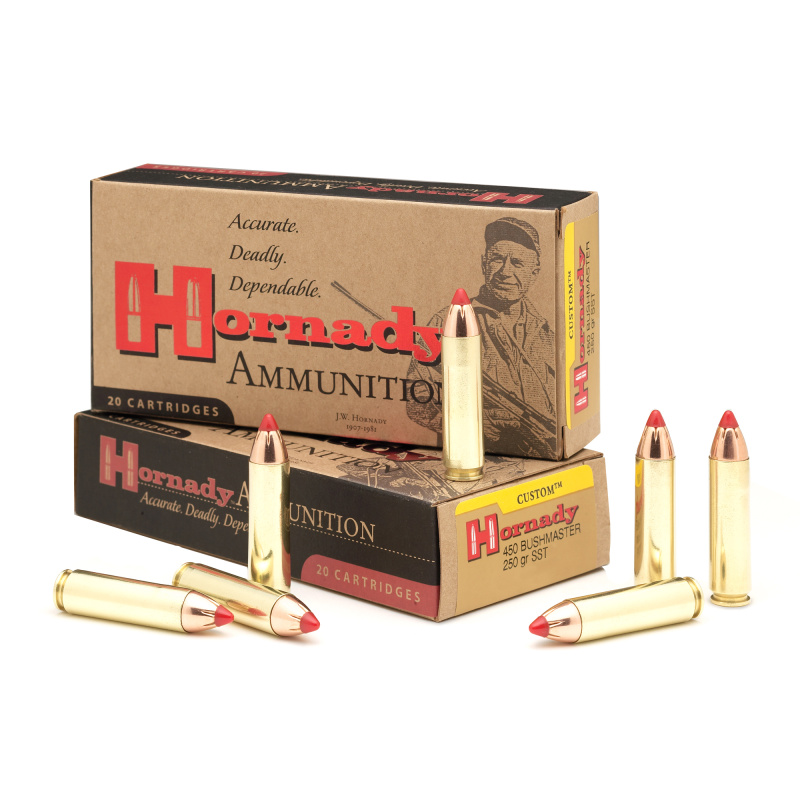Custom, 450 Bushmaster, 250 Grain, FlexTip, 20 Round Box 82244