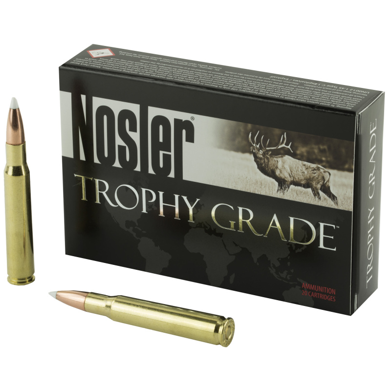 Trophy Grade .30-06 Springfield 165 Grain AccuBond