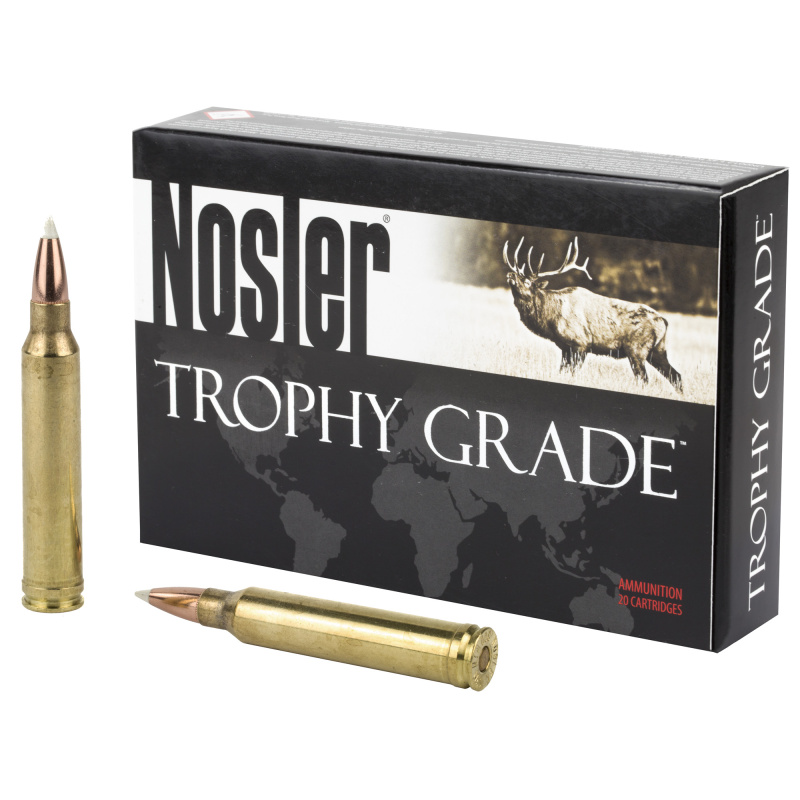 Trophy Grade .300 Winchester Magnum 180 Grain AccuBond