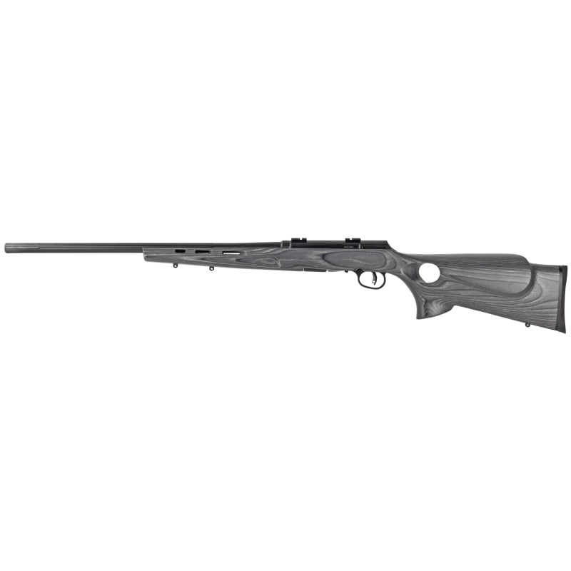 Model A17 Target .17HMR 22 Inch Heavy Barrel Blue Finish AccuTrigger Gray Laminate Thumbhole Stock 10 Round