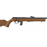 RB22, Bolt Action Rifle, 22LR, 18" Barrel, Black Finish, Synthetic Stock with Wood Hydro Dip, 10Rd, Adjustable Fiber Optic Sights RB22L1811HD5