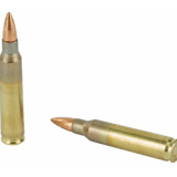 Lake City, 556 NATO, 55 Grain, FM193, FMJ, 50 Round Box FR2005
