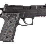 P229, Pro, Double Action/Single Action, Metal Frame Pistol, Compact, 9MM, 3.9" Barrel, Cerakote Finish, Black, Hogue Black/Gray Piranha G-Mascus Grips, XRAY3 Day/Night Sights, Decocker, Stylized Optic Ready PRO-CUT Slide, 15 Rounds, 3 Magazines E29R-9-BX