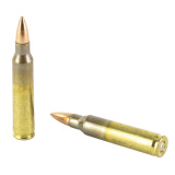 AMMO INC SIGNATURE .223REM 55 GR FMJ