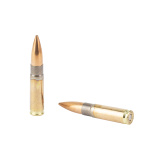 Precision Match, 300 Blackout, 220 Grain, Match Burner BTHP, 20 Round Box 32134