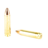 VOR-TX, 450 Bushmaster, 250 Grain, Tipped Triple Shock X, 20 Round Box 30838