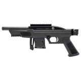 RS22P, Semi-automatic, Polymer Frame Pistol, 22LR, 6" Threaded Barrel, 1/2X28 Thread Pitch, Matte Finish, Black, Strike Industries FSA Lite Folding Brace, Picatinny Rail for Optics, 10 Rounds, 1 Magazine RS22P6BK-SMPB