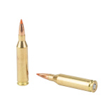 Fusion, 243 Winchester, 95 Grain, Fusion Soft Point, 20 Rounds per Box F243TFS1