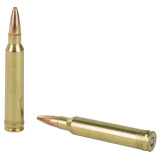 .300 Winchester Magnum 180 Grain Fusion