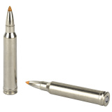 Vital-Shok .300 Winchester Magnum 180 Grain Trophy Bonded Tip