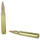 Custom Lite .30-6 Springfield 125 Grain SST