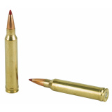 Precision Hunter, 300 Winchester Magnum, 178 Grain, ELD-X, 20 Round Box 82041
