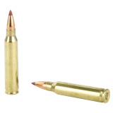 Superformance Varmint .223 Remington 35 Grain NTX