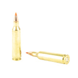 Varmint Express .22-250 Remington 55 Grain V-Max