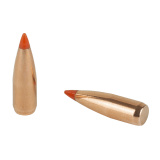 Varmint Bullet .224 Diameter 53 Grain V-Max