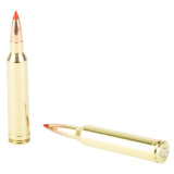 7MM Remington Magnum, 160 Grain, Ballistic Tip, 20 Round Box 43461
