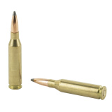 Trophy Grade .260 Remington 125 Grain Partition