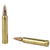 Trophy Grade .300 Winchester Magnum 180 Grain AccuBond
