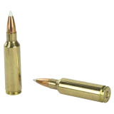 Trophy Grade .300  Winchester Short Magnum 180 Grain AccuBond