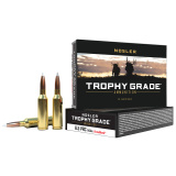 TGA-6.5 PRC 140gr AB SP (20ct)