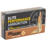 Elite Hunting .223 Remington 60 Grain HT