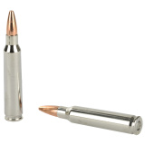 Elite Hunting .223 Remington 60 Grain HT
