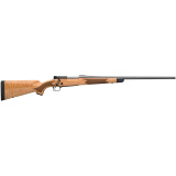 M70, SUPER GRADE, Bolt, 264 Winchester, 26", Blue, Wood, Right Hand, 3Rd 535218229