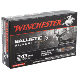 Ballistic Silvertip .243 Winchester 95 Grain