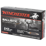 Ballistic Silvertip .243 Winchester 95 Grain
