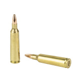 USA Brand .22-250 Remington 45 Grain Jacketed Hollow Point