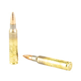 USA Lake City M193 | 5.56 NATO 55 Grain Full Metal Jacket 20 Rounds