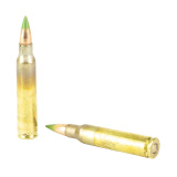USA Lake City M855 |5.56mm NATO 62 Grain Full Metal Jacket Green Tip Box of 20 Rounds